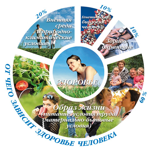 Профилактика и поддержка ЗОЖ.